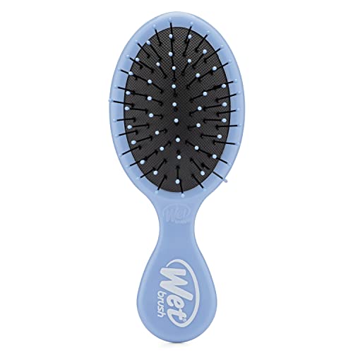 Wet Brush Detangling Brush, Mini Detangler Brush (Sky) – Wet & Dry Tangle-Free Hair Brush for Women & Men – No Tangle Soft & Flexible Bristles for Straight, Curly, & Thick Hair